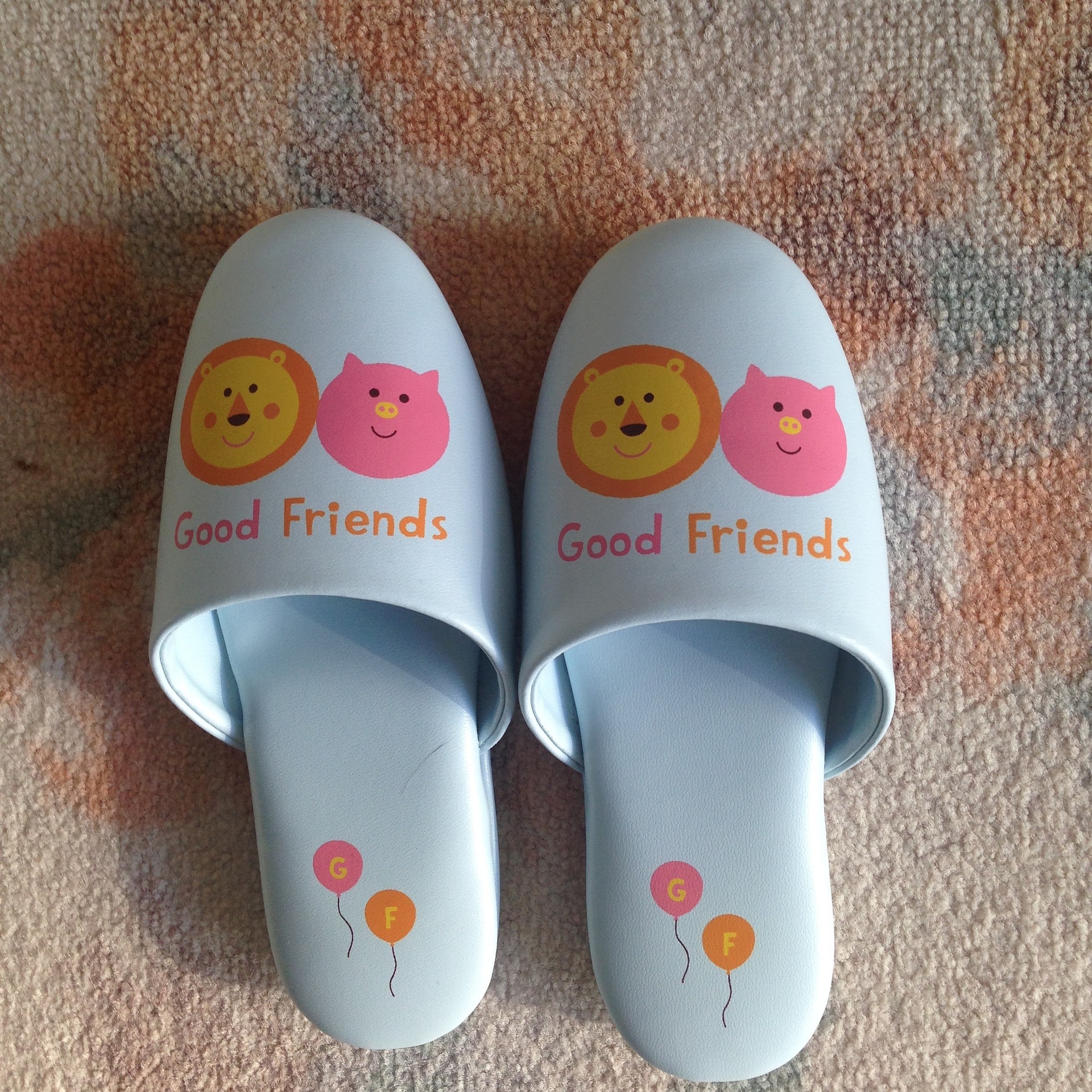 slippers-1432817_1920